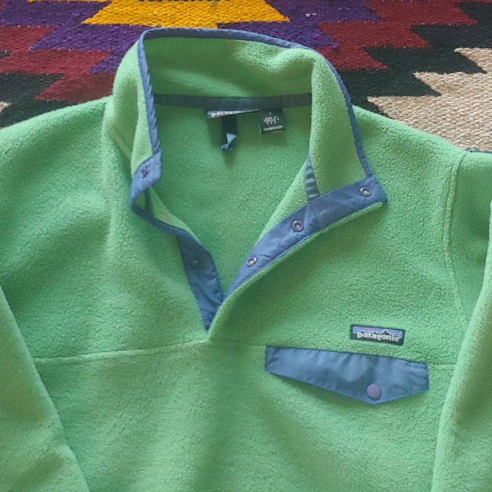 Patagonia Snap T
